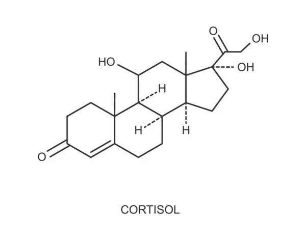 Icono de hormona cortisol. Estructura molecular química de hidrocortisona aislada sobre fondo blanco. Ilustración del esquema vectorial — Vector de stock