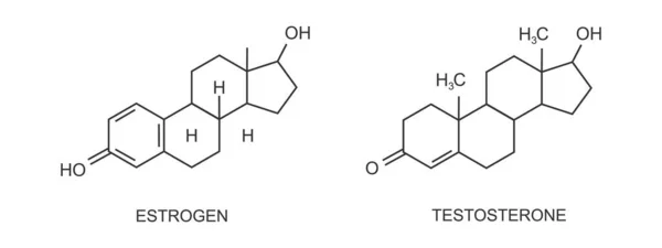 Testosteron a ikony estradiolu. Chemická molekulární struktura. Steroidní mužské ženské známky pohlavního hormonu. Koncept substituční terapie — Stockový vektor