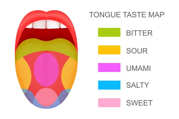 Lengua con receptores de sabor mapa que sobresale de la boca abierta. Cinco zonas de sabor. Teoría pseudocientífica de las papilas gustativas humanas. Dibujos animados vectoriales ilustración — Vector de stock