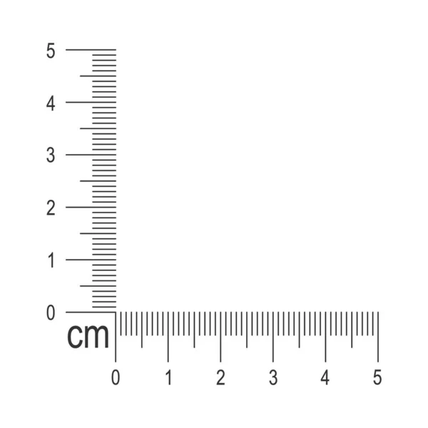 5 centymetrowy szablon linijki. Narzędzie pomiarowe z liniami pionowymi i poziomymi z oznaczeniem centymetrowym i milimetrowym oraz numerami — Wektor stockowy