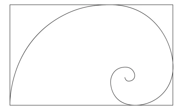 Золотое сечение логарифмической спирали в прямоугольной рамке. Гармония природы идеальные пропорции шаблон. Форма скорлупы Наутилуса. Знак последовательности Леонардо Фибоначчи. Симметрия — стоковый вектор
