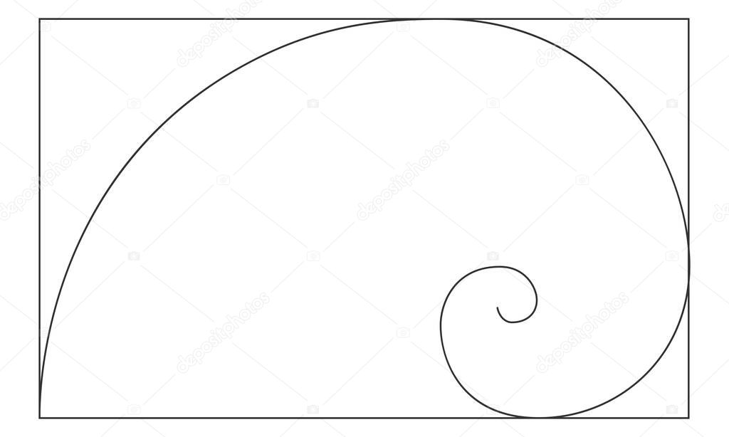 Golden ratio logarithmic spiral in rectangle frame. Harmony nature ideal proportions template. Nautilus shell shape. Leonardo Fibonacci sequence sign. Symmetry symbol