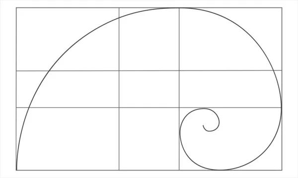 Złoty znak. Logarytmiczna spirala w prostokącie. Sekwencja Fibonacciego. Kształt skorupy Nautilusa. Perfekcyjne proporcje symetrii natury szablon dla fotografii — Wektor stockowy