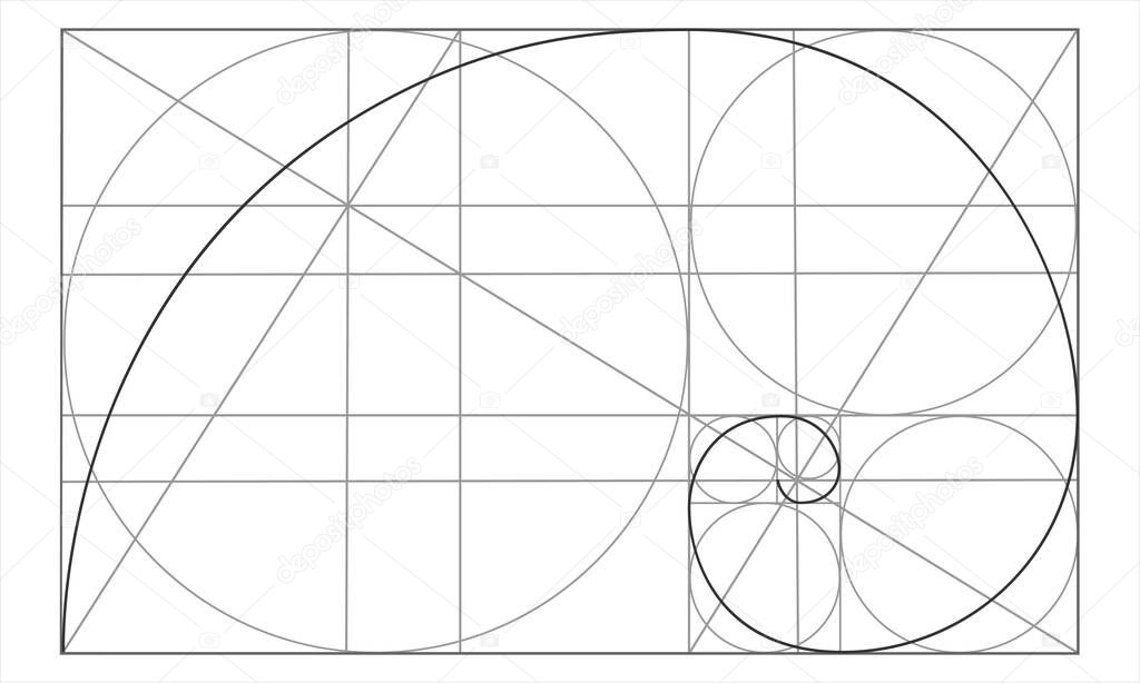 Golden ratio template. Logarithmic spiral in rectangle with circles and crossing lines. Nautilus shell shape. Fibonacci Sequence. Ideal symmetry proportions grid