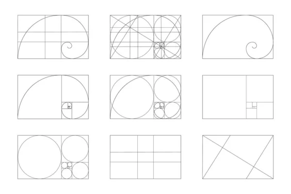 Altın oran şablonu ayarlandı. Fibonacci dizi işaretleri. Dikdörtgen çerçevedeki logaritmik spiral çizgiler, kareler ve daireler üzerinde bölünmüş. İdeal simetri oranları düzeni. Vektör grafik illüstrasyonu