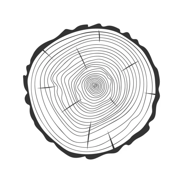 Tronco Árvore Anéis Estilo Doodle Método Dendrocronologia Para Determinar Idade — Vetor de Stock