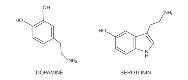 Dopamin ve serotonin bileşik ikleri. Beyaz arka planda izole edilmiş kimyasal moleküler yapıyı hissedin ya da mutlu olun. Vektör grafik illüstrasyonu