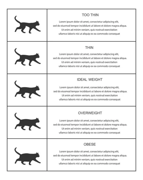 Katt Vikt Diagram Infographic Tabell Kitties Silhuetter Med Normal Och — Stock vektor