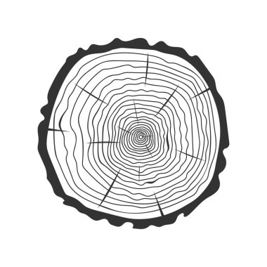 Ağaç halkaları damgası. Bagaj kesiti ahşap karalama dokusu beyaz arka planda izole edilmiş. Ağaç yaşını belirlemek için Dendrokronoloji yöntemi. Vektör özet çizimi