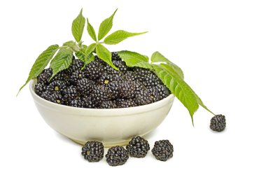 böğürtlen yaprakları ile süslenmiş dolu kase