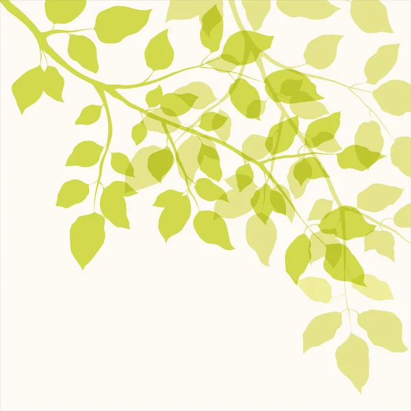 Branch with green leaves — Stock Vector