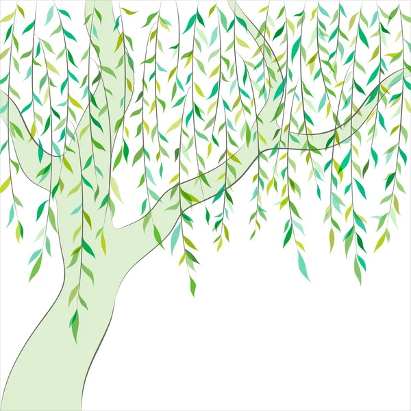 Willow. Graphic design. Vector background — Stock Vector