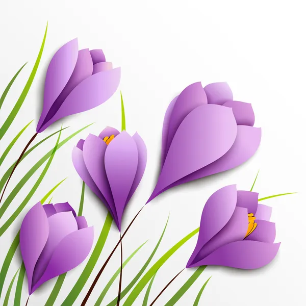 Krokussen. vijf papier bloemen op witte achtergrond — Stockvector
