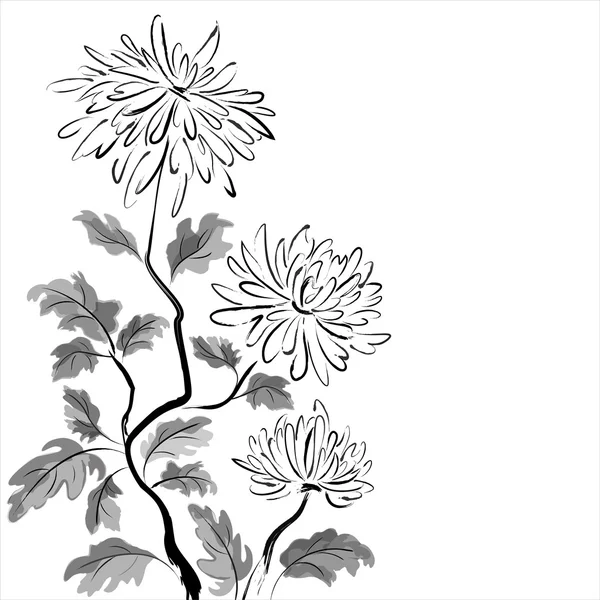 Chinese chrysanthemum. Ink painting — Stock Vector