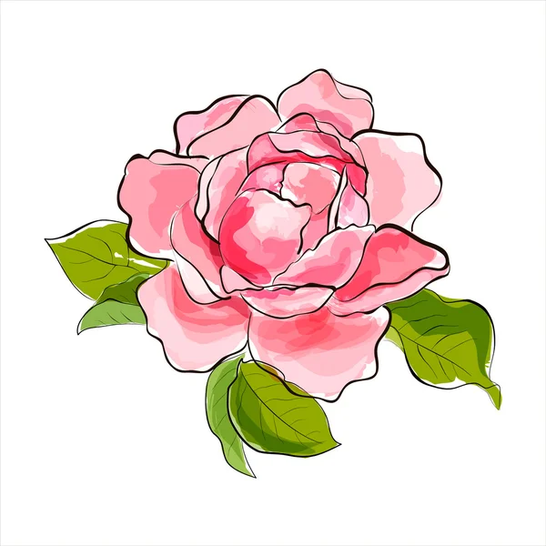 Pink rose — Stock Vector