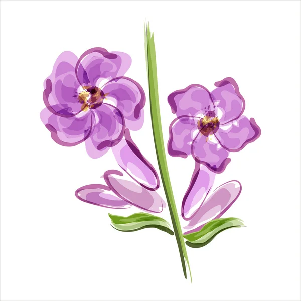 Лаванди. квітка крупним планом — стоковий вектор
