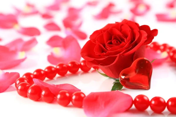 Red rose and petals with heart ans beads isolated — Stock Photo, Image
