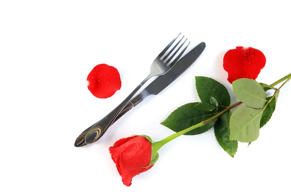 Mawar merah yang indah dengan pengaturan dengan pisau dan garpu pada murni — Stok Foto