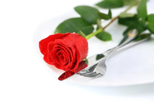 Closeup of red rose and cutlery on white plate — Stock Photo, Image