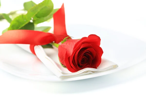 Closeup of red rose on white plate — Stock Photo, Image