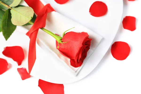 Closeup of red rose on white plate and petals near it — Stock Photo, Image