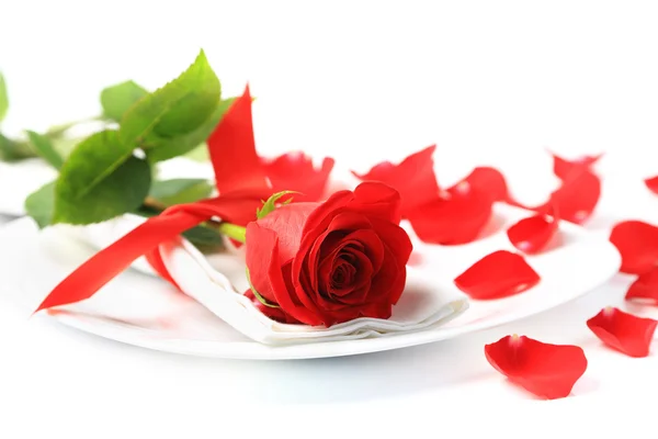 Closeup of red rose on white plate — Stock Photo, Image