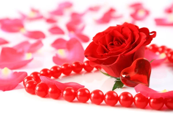 Ed rose and petals with heart ans beads isolated — Stock Photo, Image