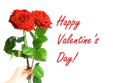 Beyaz arkaplanda kırmızı güller