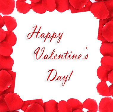 çerçeve beyaz zemin üzerine kırmızı gül yaprakları