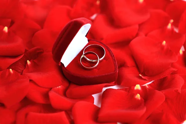 Wedding rings and roses petals — Stock Photo, Image