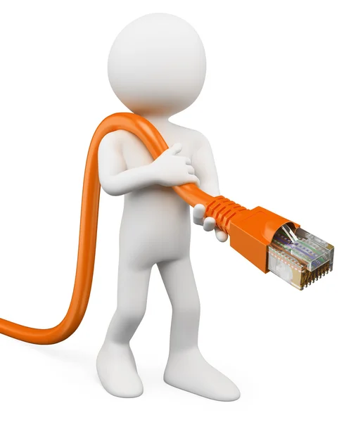 3D beyaz. ağa bağlanma