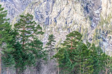 karla kaplı dağlar