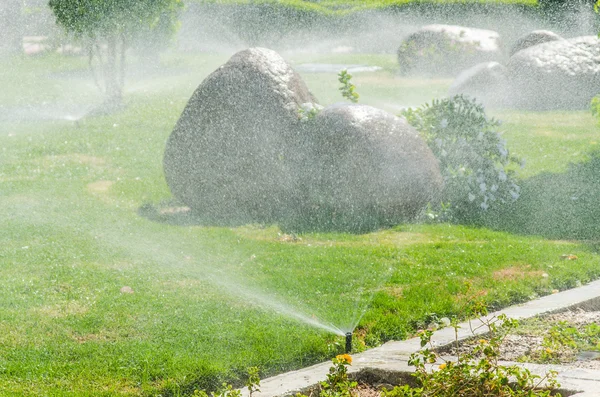 自动喷洒植物在花园里 — 图库照片