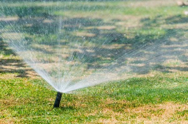 Automatische Streuung von Pflanzen im Garten — Stockfoto