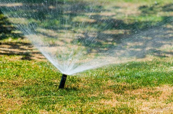 Automatische Streuung von Pflanzen im Garten — Stockfoto