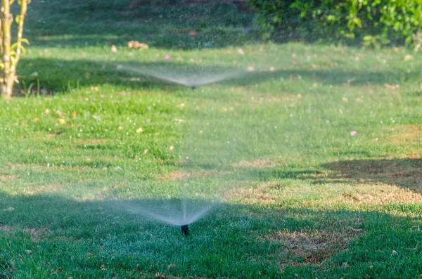 Automatic Sprinkle plants in the garden — Stock Photo, Image