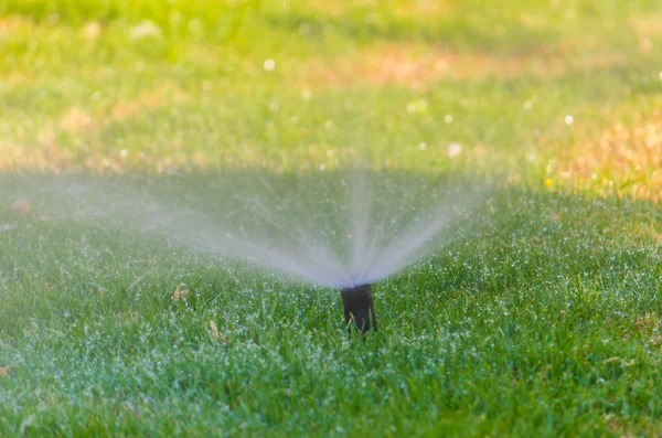 Automatische Streuung von Pflanzen im Garten — Stockfoto