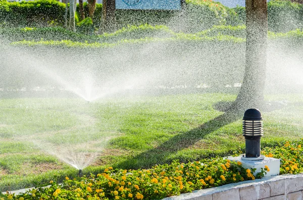 Automatic Sprinkle plants in the garden — Stock Photo, Image