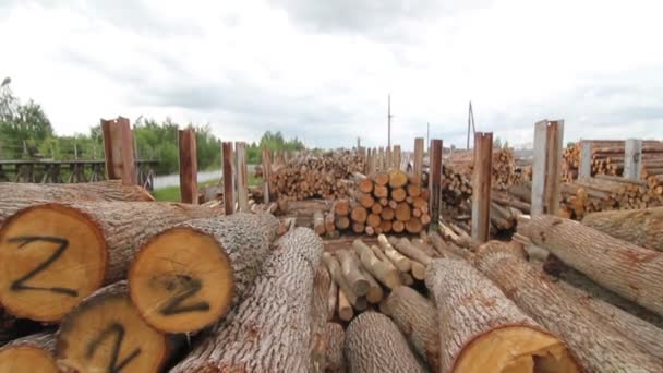 Хранение древесины — стоковое видео