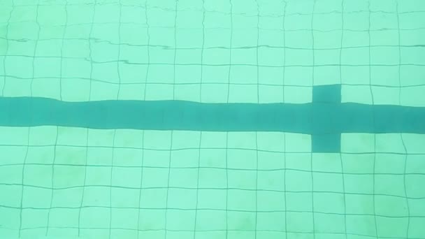 潜水后跳在游泳池中游泳的人 — 图库视频影像