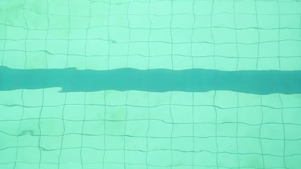 Buceo de nadador después del salto en la piscina — Vídeos de Stock
