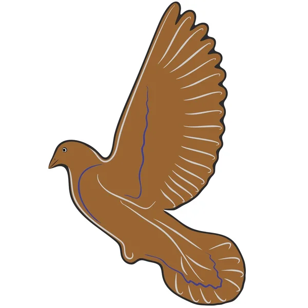 güvercin
