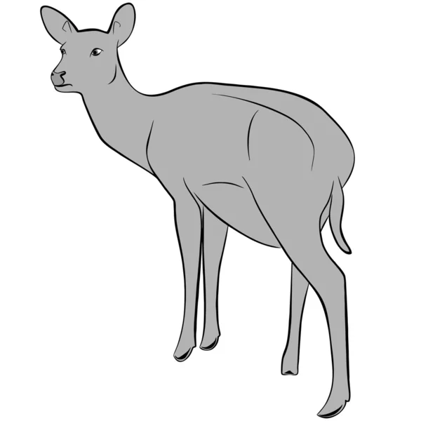 Cerfs — Image vectorielle