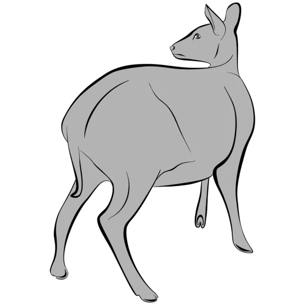 geyik