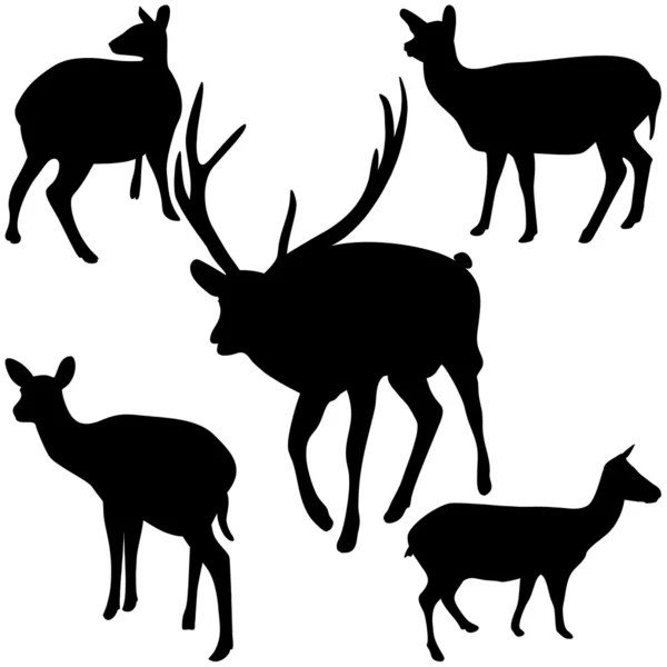 Cerfs — Image vectorielle