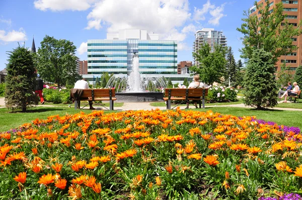 Un parque urbano en Calgary — Foto de Stock