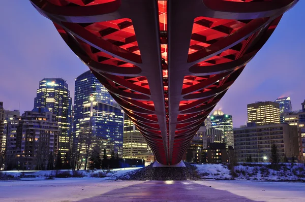 Puente peatonal de Calgary —  Fotos de Stock