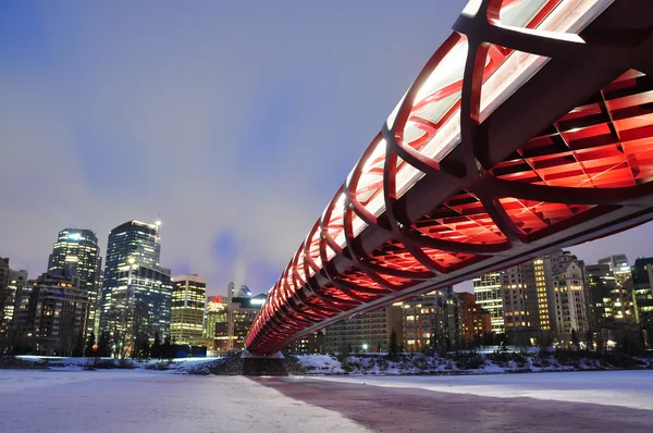 Calgary πεζογέφυρα — Φωτογραφία Αρχείου