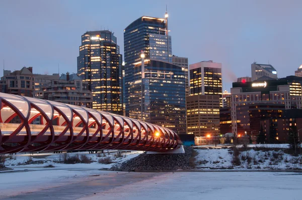Calgary πεζογέφυρα — Φωτογραφία Αρχείου