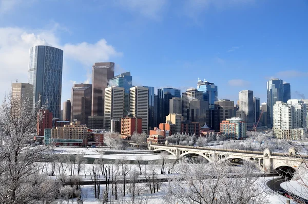 Panorama Calgary — Stock fotografie